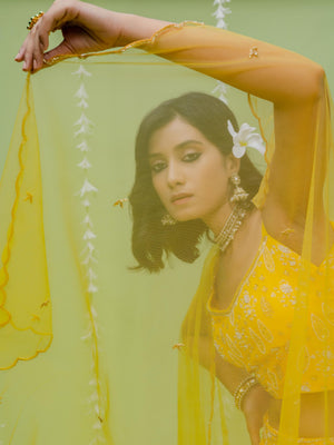Sunshine Embroidered Lehenga Set image 3