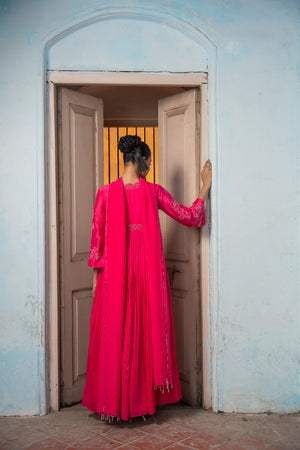 Rosy Flared Dress image 2