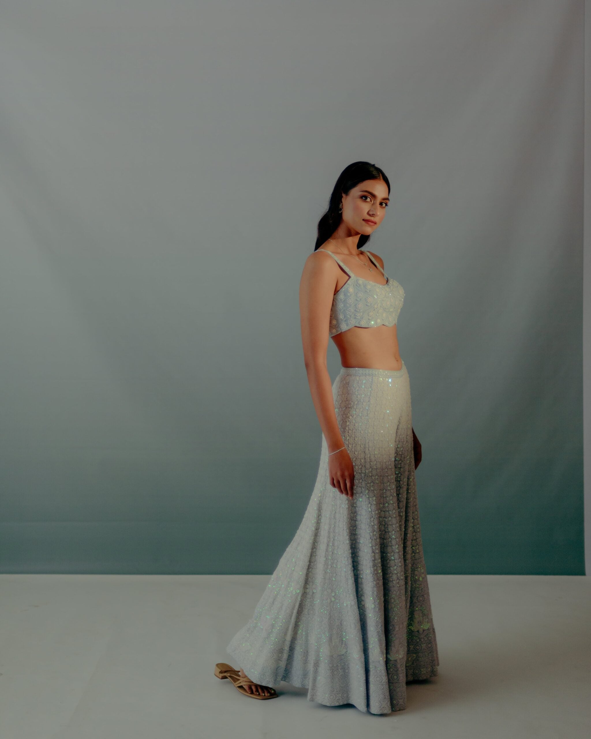 Baby Blue Lucknowi Sequin Saree Set image 4