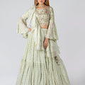 Light Mint Ruffle Lehenga Set image 0