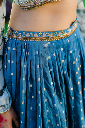 Powder Blue Printed &amp; Embroidered Lehenga Set image 6