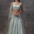 Glacier Blue Lehenga with Mirror Work Blouse image 0