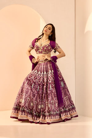 Sitara Lehenga Set image 2