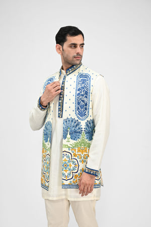 Royal Peacock Half Jacket Full Set image 1