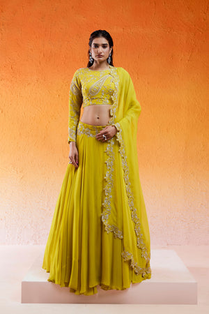 Daisy Yellow Embroidered Lehenga Set image 0