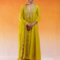 Daisy Yellow Embroidered Anarkali Suit image 0