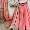 Coral Ivory Mirror Lehenga Set image 0