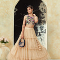 Multi-hued embroidered blouse and tier skirt set image 0