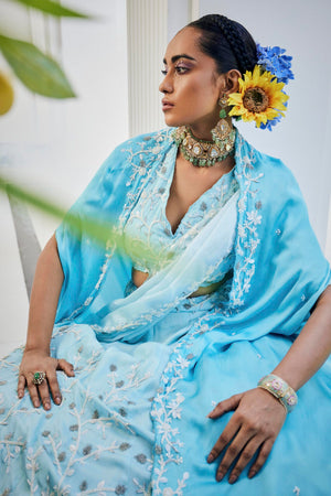 Blue Cape Lehenga Set image 6