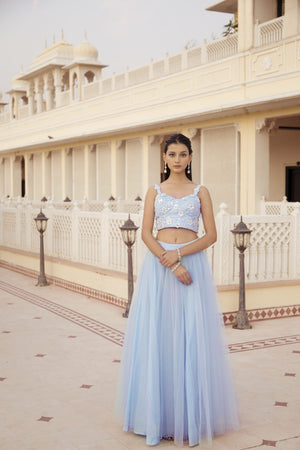 Powder Blue Bustier with Tulle Skirt - M image