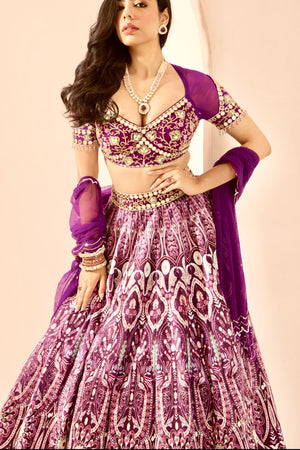 Sitara Lehenga Set image 11