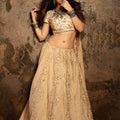 Beige and Ivory Hand Embroidered Lehenga Set image 0