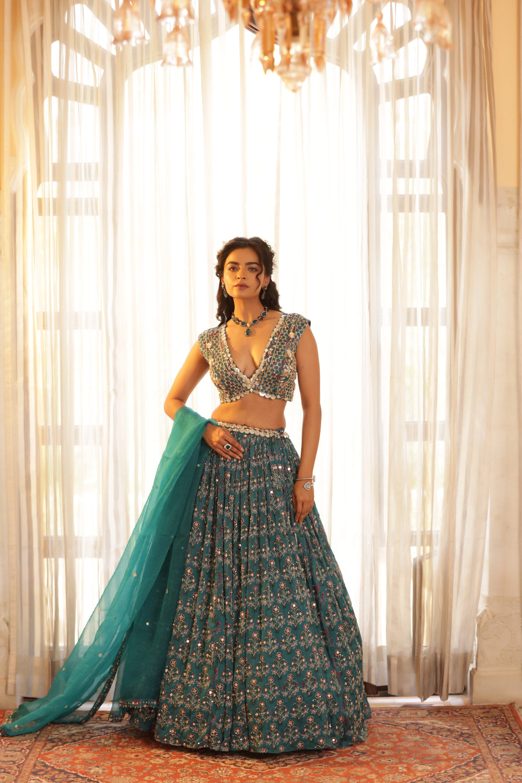 Embroidered Chiffon Lehenga image 0
