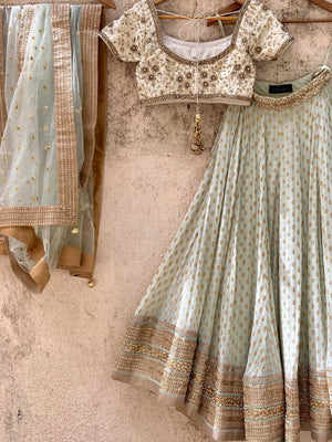 Pastel Mint Green Zari Lehenga Set image 3
