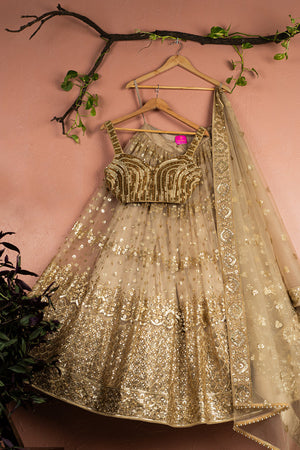 Nude Gold Sequin Lehenga Set - XL image
