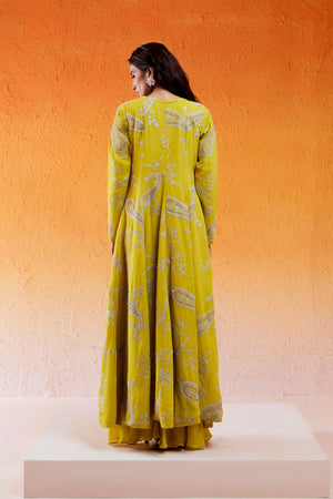 Long Jacket Sharara Set image 8