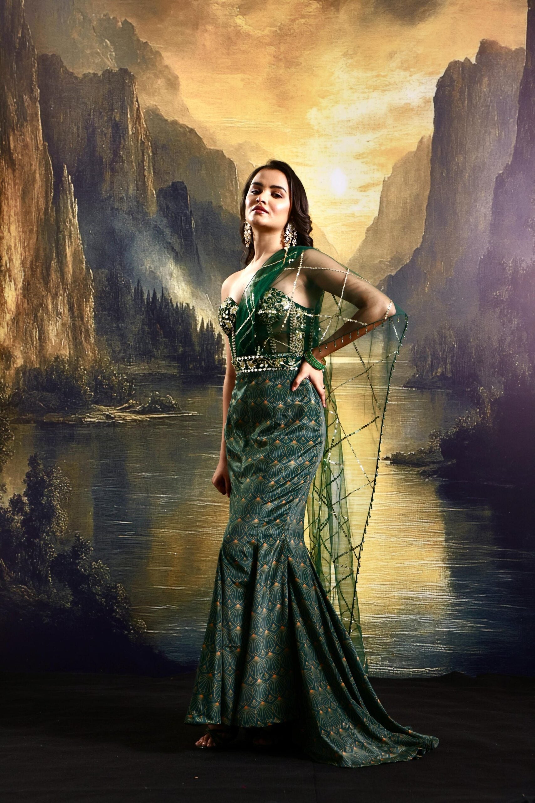 Ashley Gown image 5