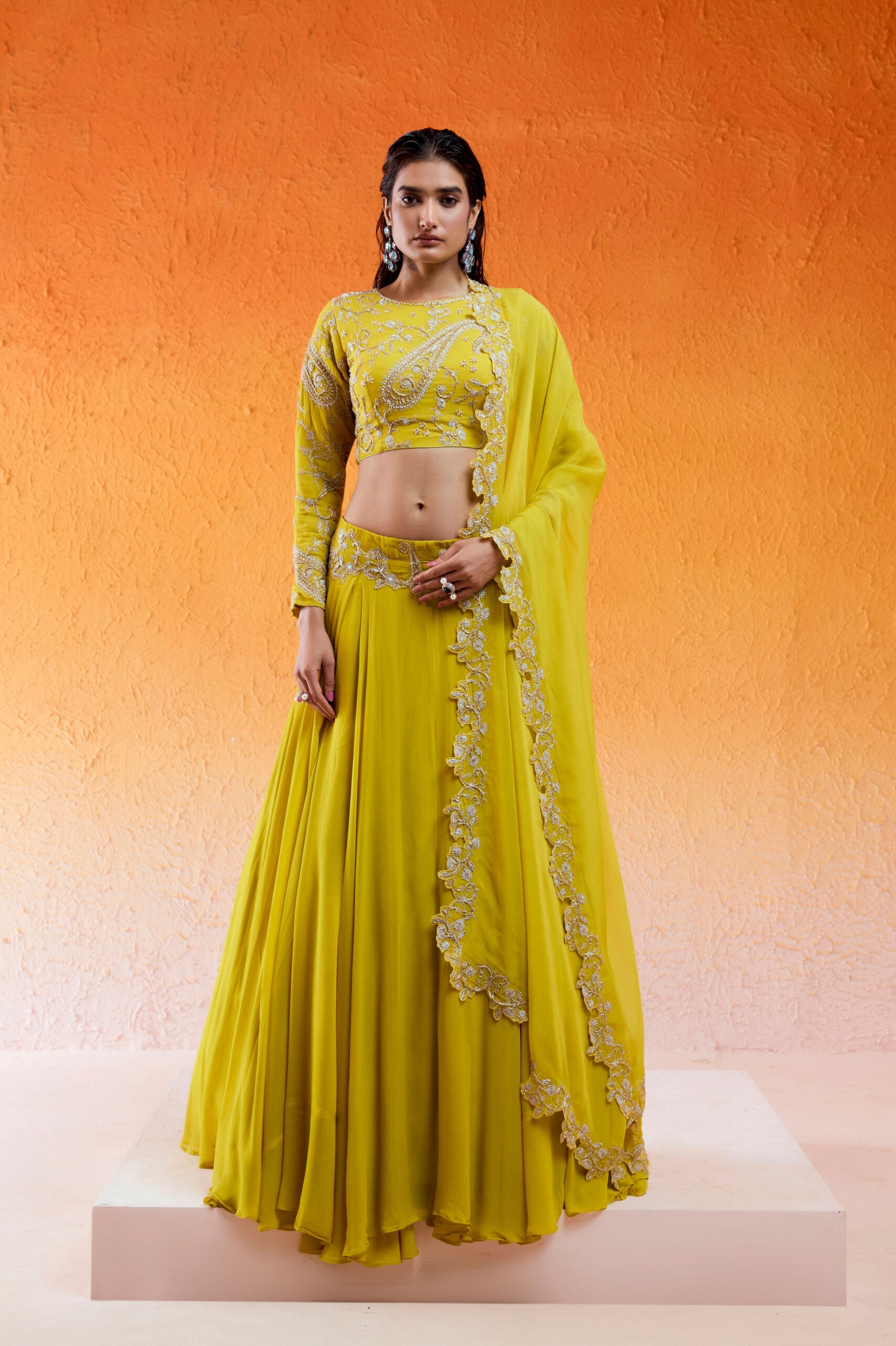 Daisy Yellow Embroidered Lehenga Set image 4