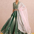 Green Embroidered Stripe Lehenga Set image 0