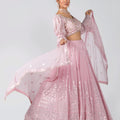 Light Pink Mirror Lehenga Set image 0