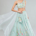 Hand painted lehenga set image 0