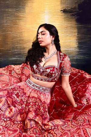 Noor Lehenga Set image 8